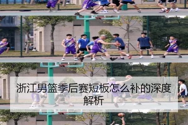 浙江男篮季后赛短板怎么补的深度解析